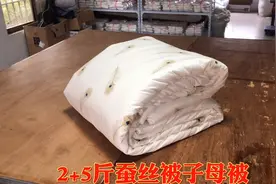 广州朋友定制一套双人蚕丝被子母被，广东相对比较暖，四季都能用