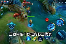 王者荣耀各个分段的野王代表视频封面