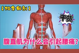 腹直肌为什么会引起腰痛？【推拿解剖】视频封面