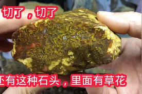 广西还有这种石头，切开里面有草花，河边见到一定捡回来