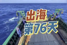 海底鱼类大科普，肯定有你不认识的，进来学习吧。视频封面