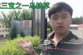 东北三宝之一乌拉草，专业的乌拉草深加工企业，老祖宗留下的宝贝视频封面