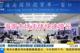 海南市场主体快速增长视频封面