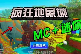 MC跟迷你世界组合在一起的游戏你玩过吗？