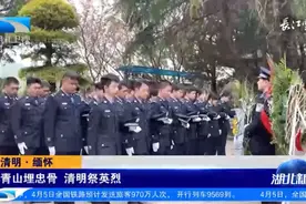 清明·缅怀 | 青山埋忠骨 清明祭英烈视频封面