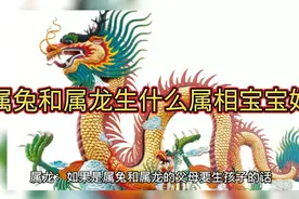 属兔和属龙生什么属相宝宝好？视频封面