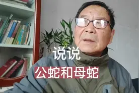 说说公蛇母蛇，聊聊白娘子和“小青”