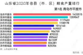 山东省2020年各县（市、区）粮食产量排行视频封面
