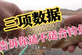 如何判断天气适不适合钓鱼？老钓友：就看这三项数据，越低越好！视频封面