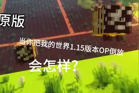当你把我的世界1.15版本op倒放 会怎样？视频封面