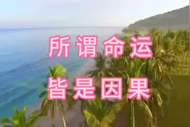 美文诵读：所谓命运，皆是因果视频封面