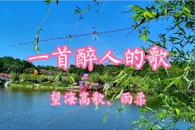 望海高歌&雨柔原唱《一首醉人的歌》旋律优美，悦耳动听视频封面