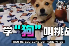 【学狗叫挑战】在狗子面前学狗叫会怎么样？视频封面
