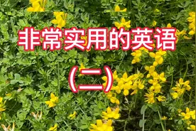 学会英语听说的诀窍：同一个英语内容，反复听！直到脱口而出视频封面
