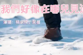 我們好像在哪兒見過-楊宗緯、葉蓓视频封面