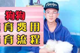 狗狗绝育的流程和费用视频封面
