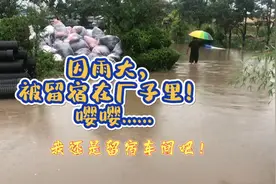 今夜雨大，回不了家，被留宿在厂子里！视频封面