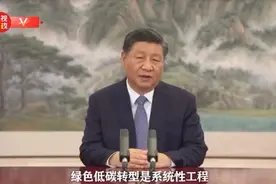 独家视频丨习近平：在经济发展中促进绿色转型 在绿色转型中实现更大发展视频封面