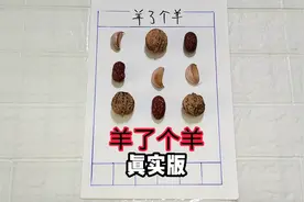 羊了个羊真实版，第二关真的是太难了视频封面