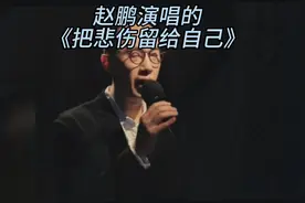 《把悲伤留给自己》，这首歌表达了在感情中某一方的遗憾和无奈。视频封面