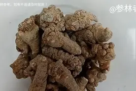 田七：散瘀止血，消肿定痛，高血脂、高血糖、高血压人群也合适！视频封面