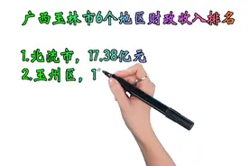 广西玉林市6个地区财政收入排名视频封面