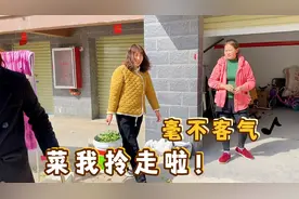 楼下邻居刚择好的菜，真真直接连桶拎回家，龙龙无奈咋这么不客气视频封面