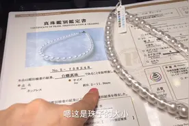 老板娘在线分享高品质澳白珍珠项链，网友：高贵典雅大气视频封面