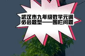 武汉市九年级元调第22题——围栏问题