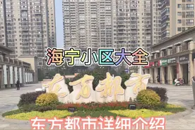 海宁东方都市详细介绍视频封面