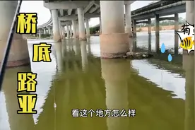 路亚探钓东莞寒溪河，这么好的结构区，有一起来挑战的吗？视频封面