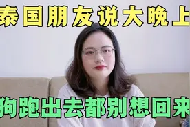 缅北现在很火，真实的东南亚什么样？工作了两年，我告诉你真相视频封面