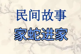 家蛇是家里的保护神，家蛇进家是大吉，你们那有这样的说法吗？视频封面