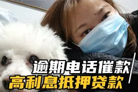 被骗第15天，金条逾期，电话催还款，房子抵押贷款高利息让我后怕