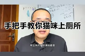 手把手教你如何让猫咪自己蹲马桶视频封面