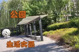 蓝天白云，晴空万里，忽然遇见你视频封面