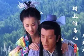 韩再芬《天仙配》插曲《树上的鸟儿成双对》，歌曲经典好听！视频封面