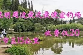 昆明周边最近最便宜的钓场，离昆明市区15公里，钓鱼一天只要20元视频封面