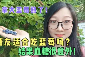 很多糖友说蓝莓升糖很低？吃了120克蓝莓，结果餐后血糖好意外！视频封面