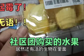 社区团购买了2盒菠萝蜜，烂得起霉了还有苍蝇，客服这样解决的！视频封面