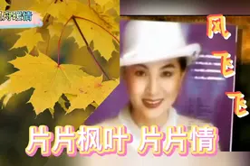 凤飞飞演唱的《片片枫叶片片情》，欢快优美百听不厌视频封面