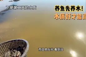 养鱼为啥产量不高？原来养鱼就是养水，水质好养鱼才能高产！视频封面