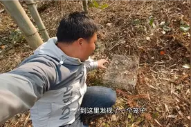 深山意外发现“动物陷阱”！只进不出走近一看，里面全是野货视频封面