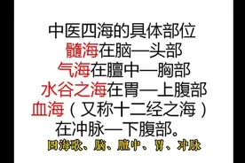 四海歌、脑、膻中、胃、冲脉视频封面