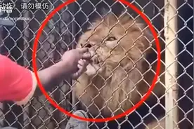 珍爱生命远离 装逼视频封面