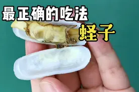 蛏子这些部位很脏，最好清理干净后再吃视频封面