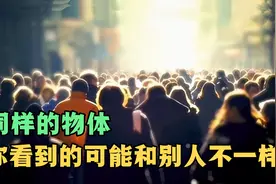 同样的物体，你看到的样子有可能和别人看到的不一样！视频封面