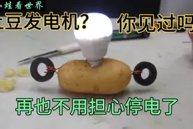 会发电的土豆，土豆发电机，有了它，爸爸妈妈再也不用担心停电了视频封面