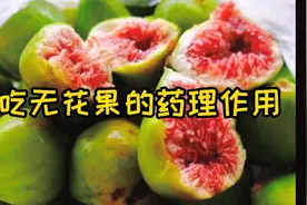 无花果的神奇药用，吃无花果不但口感好还可以延年益寿，强身健体视频封面