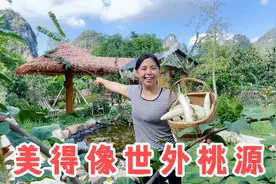 花费2万多建成的农家小院，木屋别墅带大草坪，看完还想去城里吗视频封面